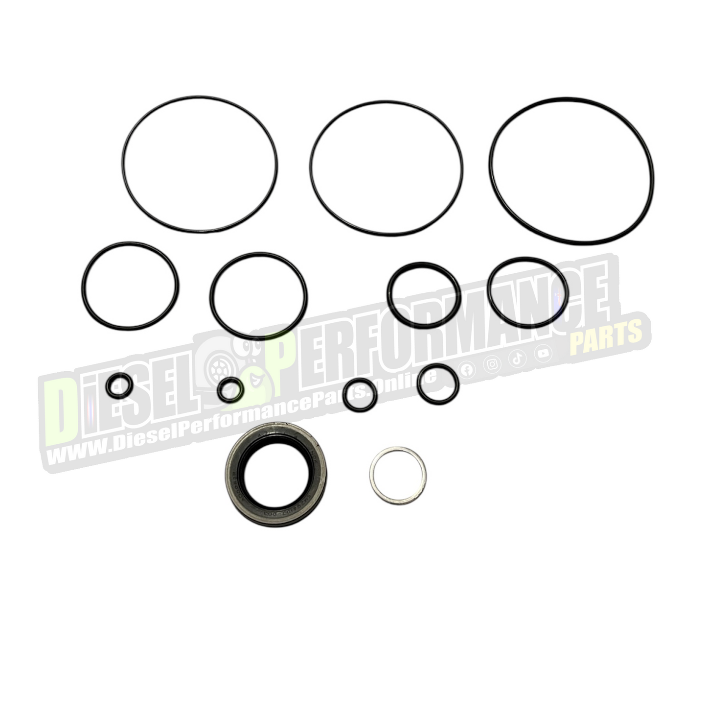 HP3 Denso Repair kit - 2 Rotor HP Pump