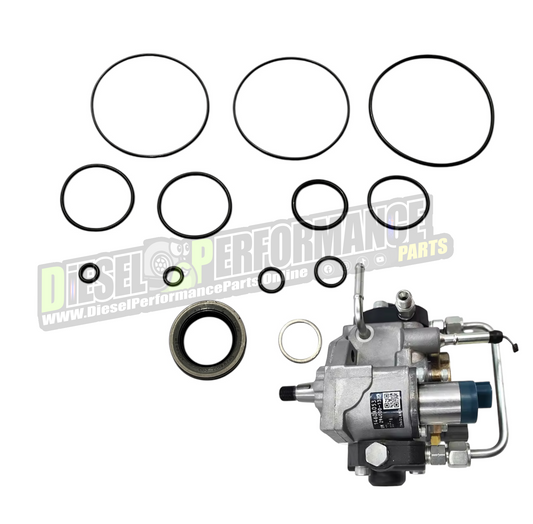 HP3 Denso Repair kit - 2 Rotor HP Pump